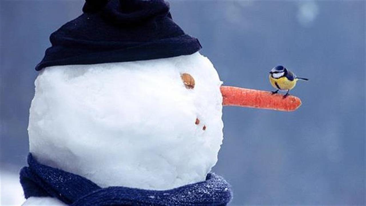 Το «καρότο» της ανάκαμψης στη μύτη του χιονάνθρωπου