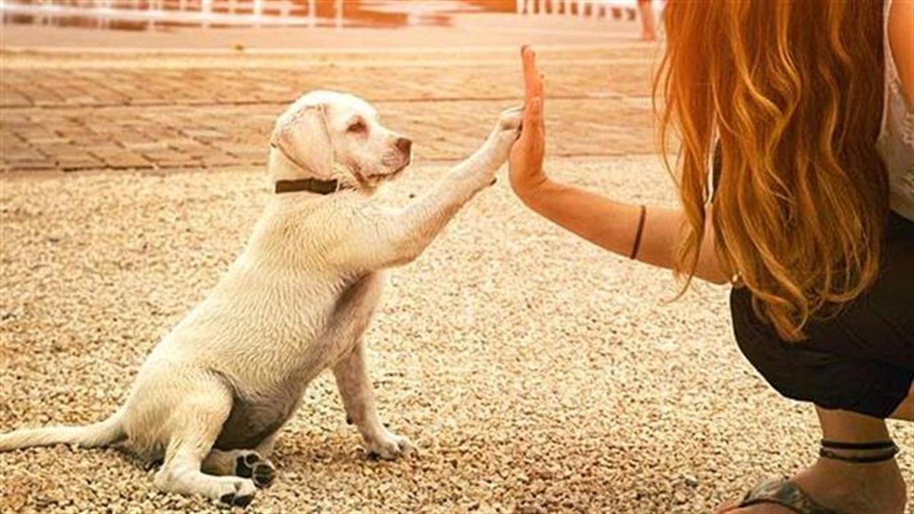 12 πράγματα που θα καταλάβουν μόνο όσοι έχουν σκύλο