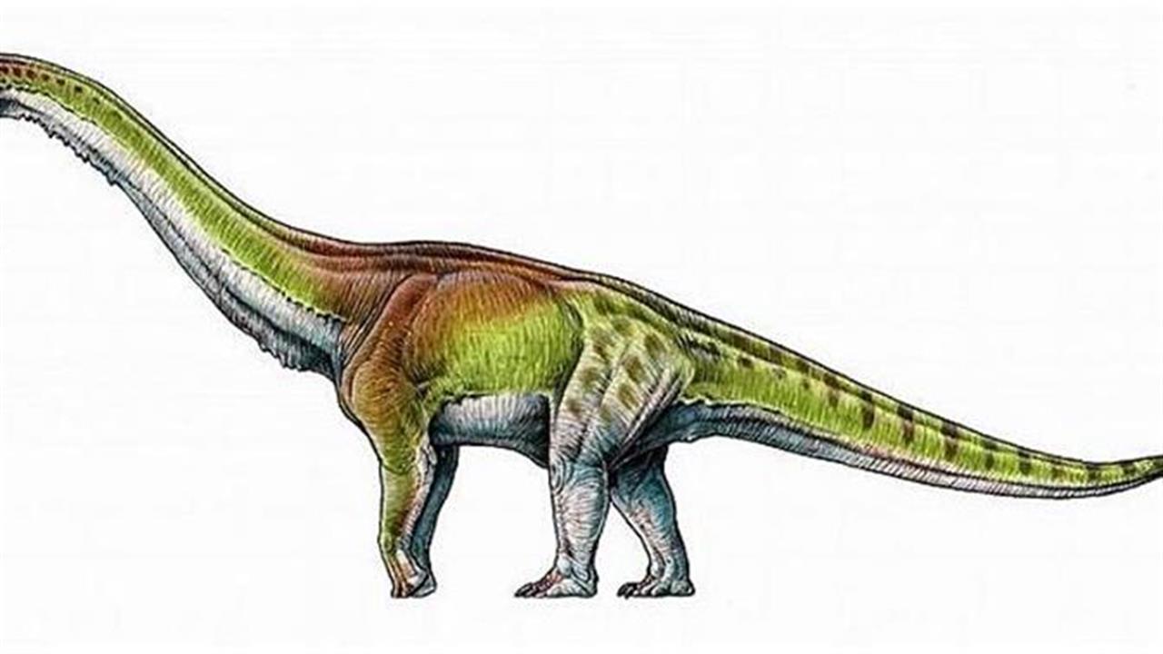Ο μεγαλύτερος δεινόσαυρος που έζησε στη Γη