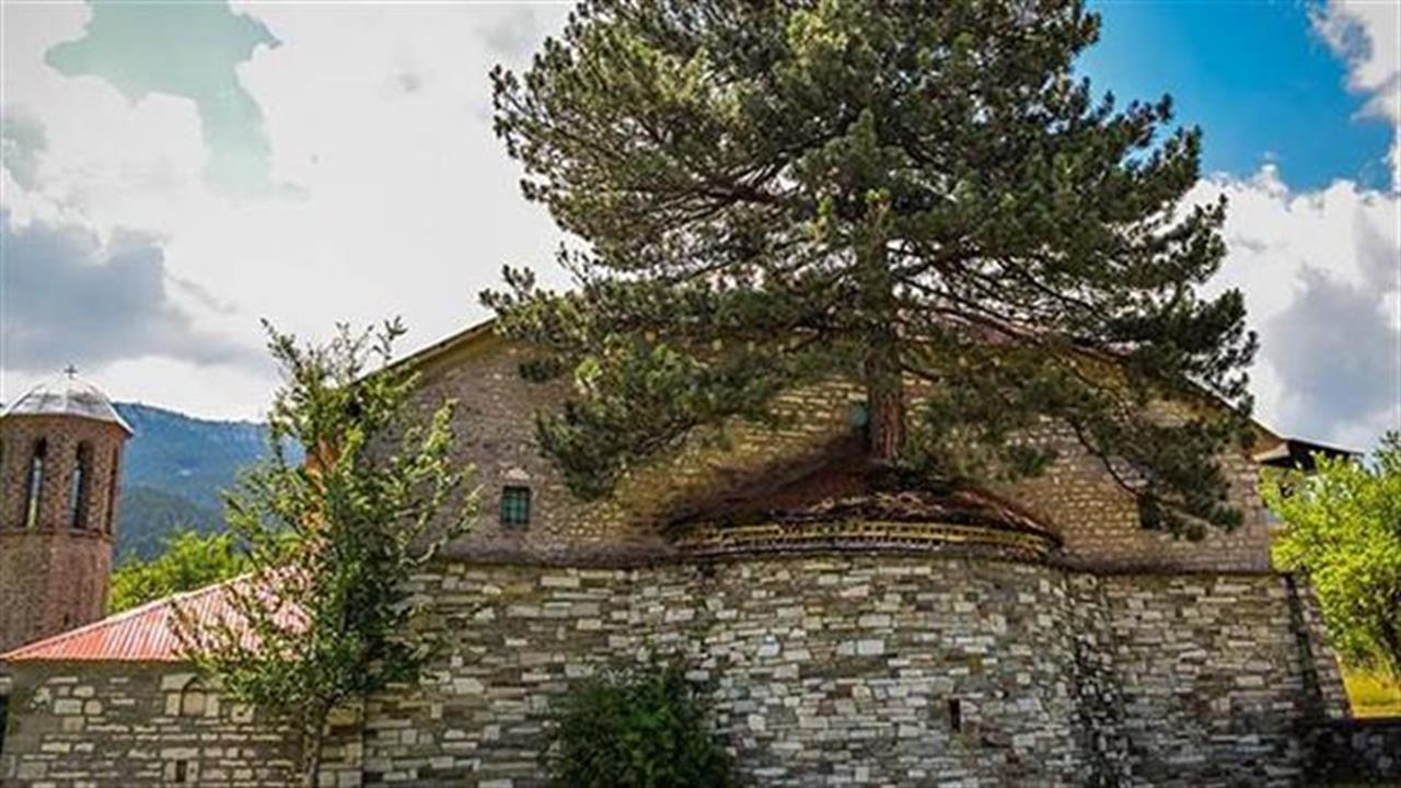 Αιωνόβιο δέντρο μεγαλώνει μέσα σε εκκλησία στα Γρεβενά