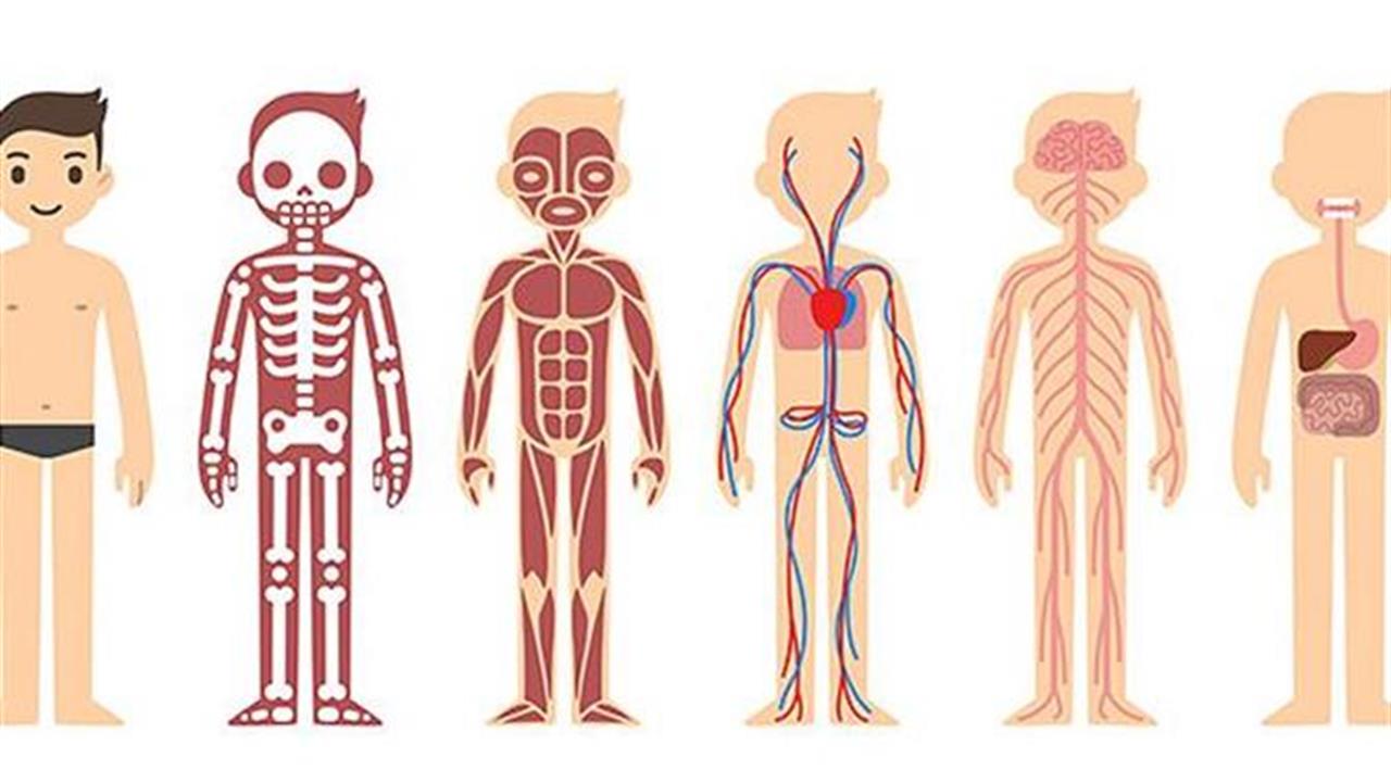 15 απίστευτες πληροφορίες για το σώμα σου