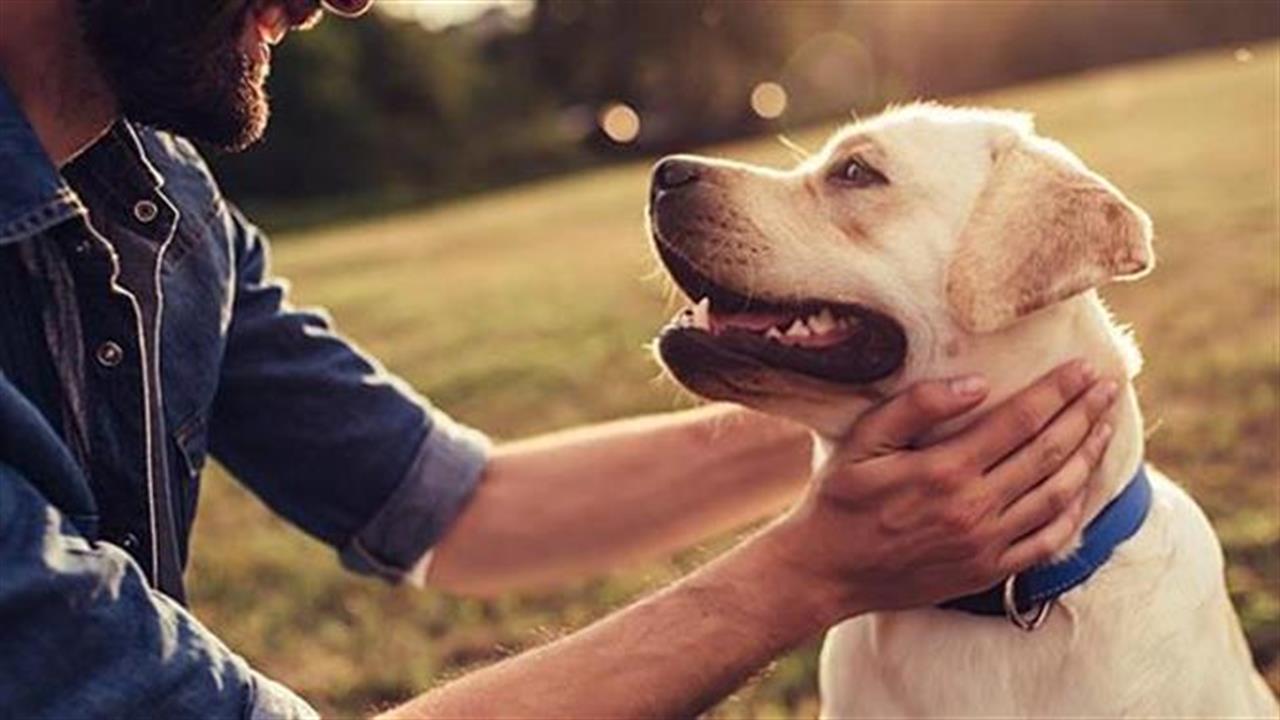 Να γιατί το να έχεις σκύλο μπορεί να σου αλλάξει τη ζωή
