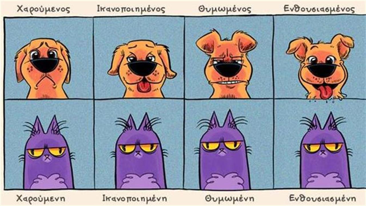 Ξεκαρδιστικές διαφορές μεταξύ γάτας και σκύλου
