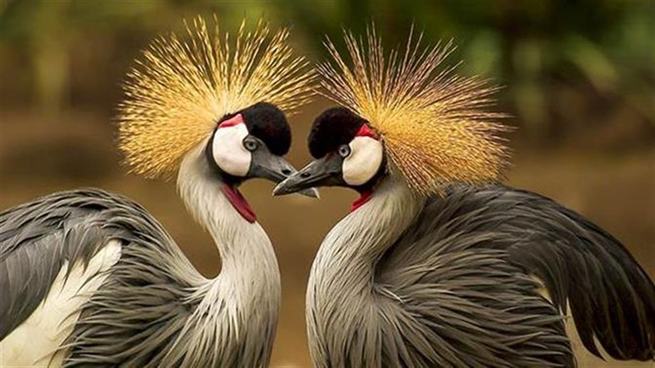 Σημάδια ότι είσαι πιο ωραίος απ’ όσο νομίζεις