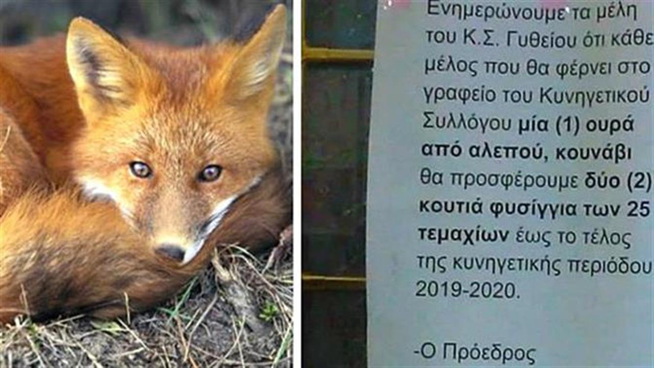 Κυνηγετικός Σύλλογος Γυθείου: «Το κυνήγι αλεπούς είναι 100% νόμιμο»