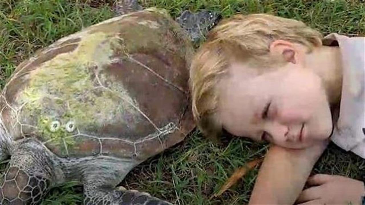5 χρονος βοηθά τραυματισμένες χελώνες να επιστρέψουν στη θάλασσα