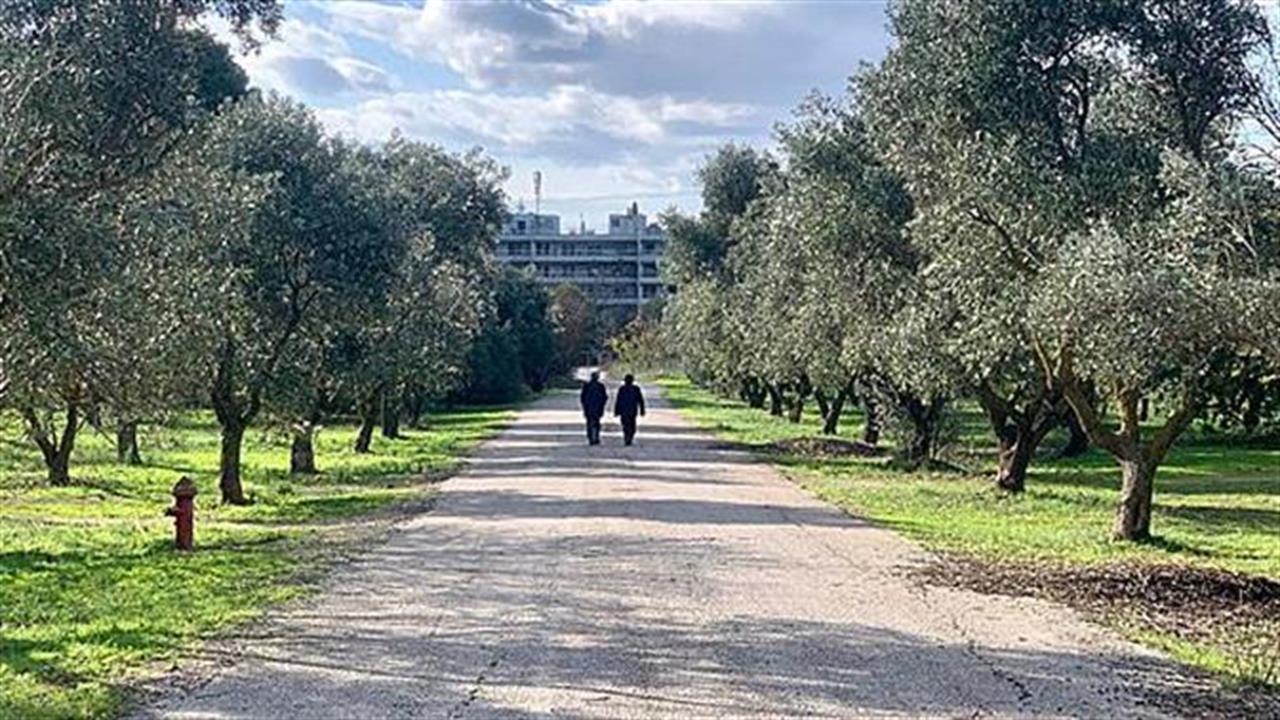 Η απαγόρευση δεν είναι λύση