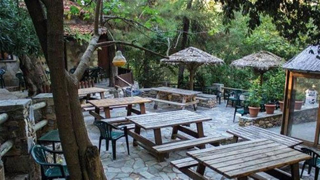 Οι πιο καταπράσινοι καφέδες της Αθήνας