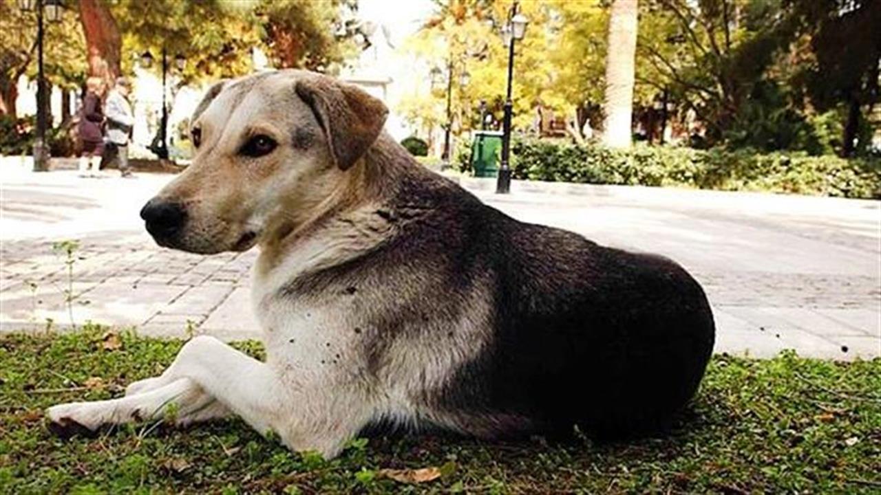 Αγνώριστη θα είναι η Αθήνα το φθινόπωρο