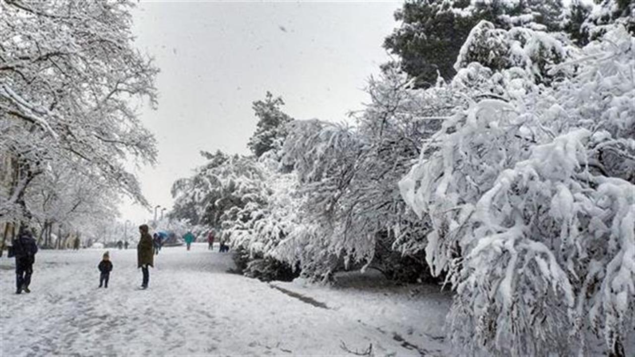 Μαρουσάκης: Έρχονται χιόνια και θερμοκρασίες έως -20 βαθμούς