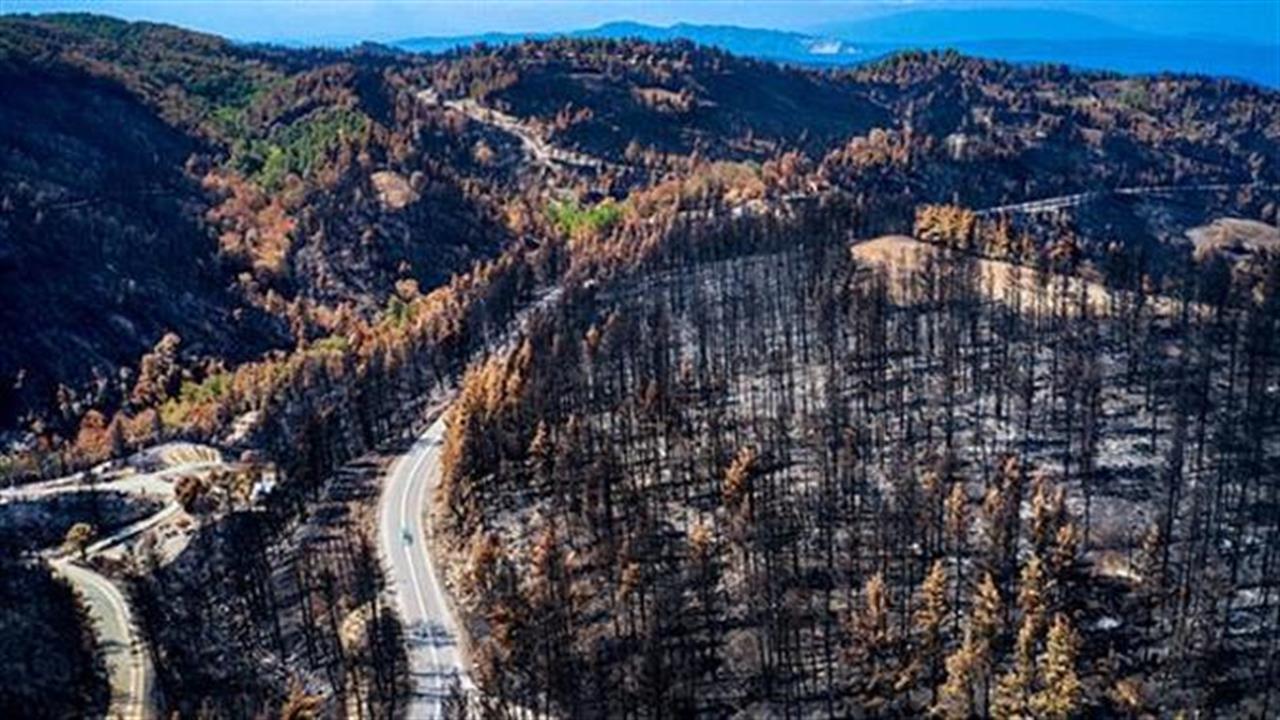 Σπαρακτικές φωτογραφίες από όσα άφησε πίσω της η φωτιά στη Βόρεια Εύβοια