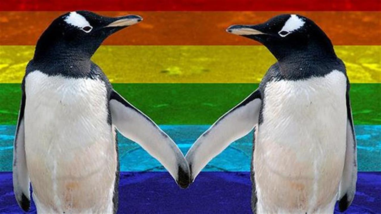 Όροι της κοινότητας ΛΟΑΤΚΙ+ που πρέπει να ξέρεις