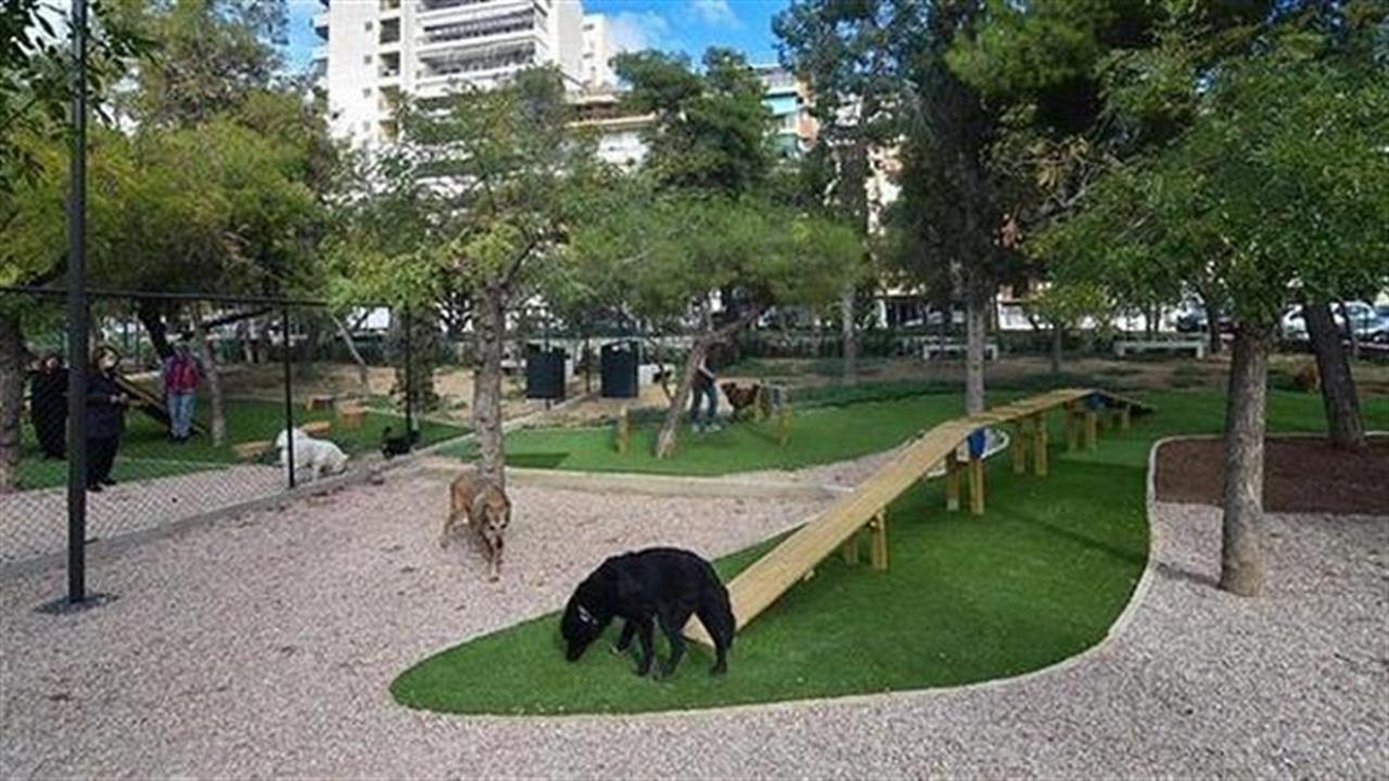 Είναι η Αθήνα πόλη για σκυλιά; Δείτε όλα τα «γαβ- γαβ» πάρκα της Αττικής