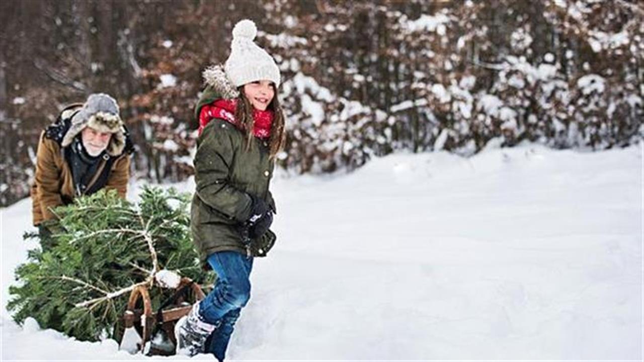Πώς επηρεάζουν το περιβάλλον οι γιορτές των Χριστουγέννων;