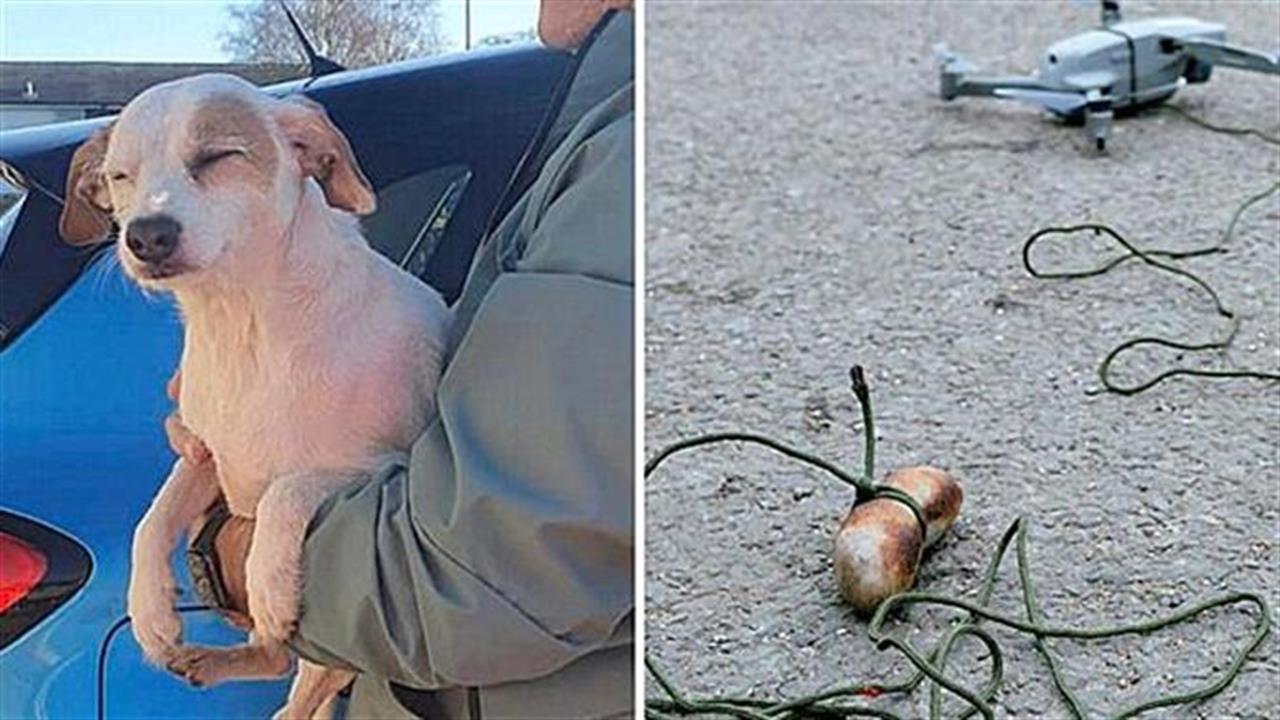 Έσωσαν σκύλο από πνιγμό δένοντας λουκάνικο σε drone