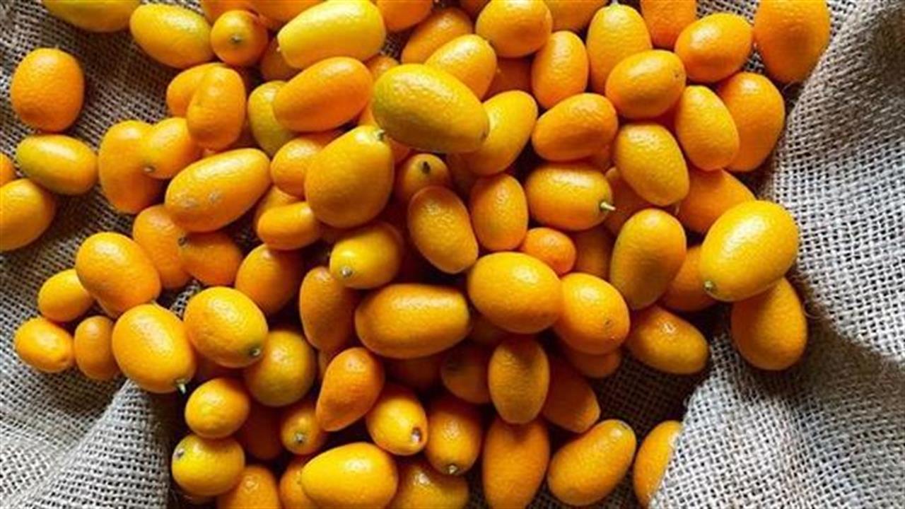 Κουμκουάτ, το χρυσαφένιο μικρό πορτοκάλι