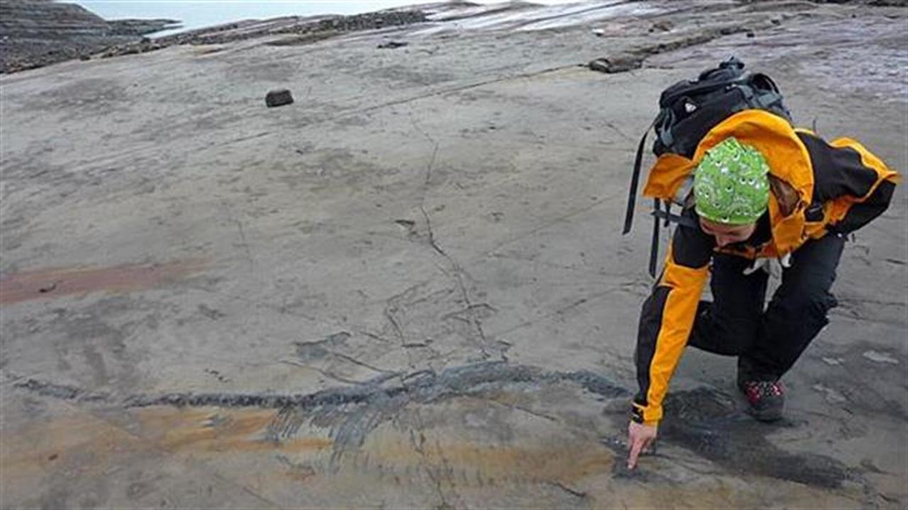 Εντυπωσιακό απολίθωμα δεινοσαύρου βρέθηκε στη Χιλή