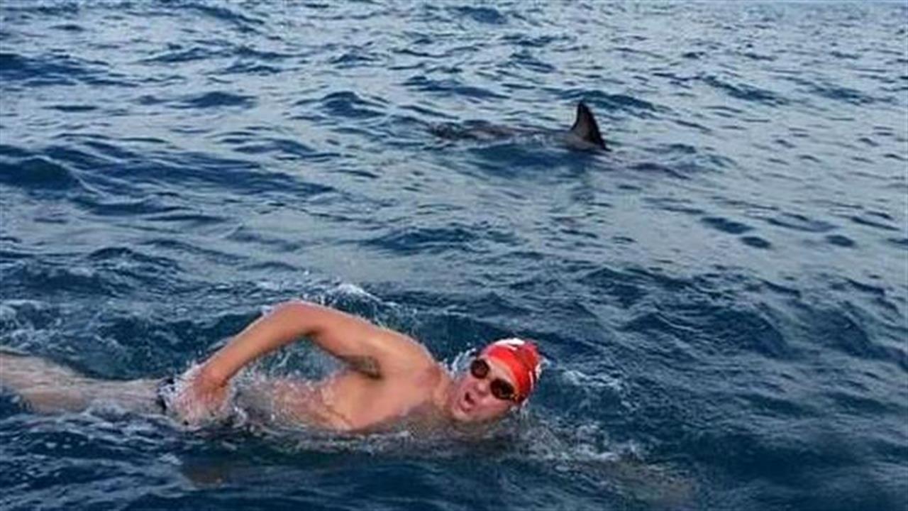 Δελφίνια σχηματίζουν τείχος και σώζουν κολυμβητή από καρχαρία