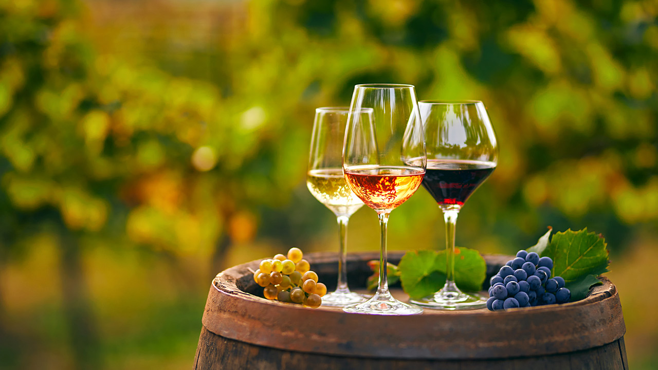 Ελληνικό κρασί και τουρισμός: Περιηγήσεις με τον Οίνο Οδηγό