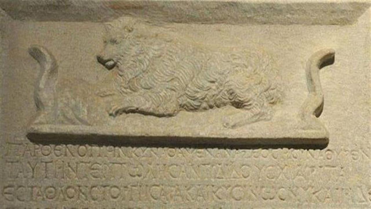 Τάφος σκυλίτσας στην αρχαία Ακρόπολη της Μυτιλήνης μας θυμίζει γιατί αγαπάμε τα ζώα