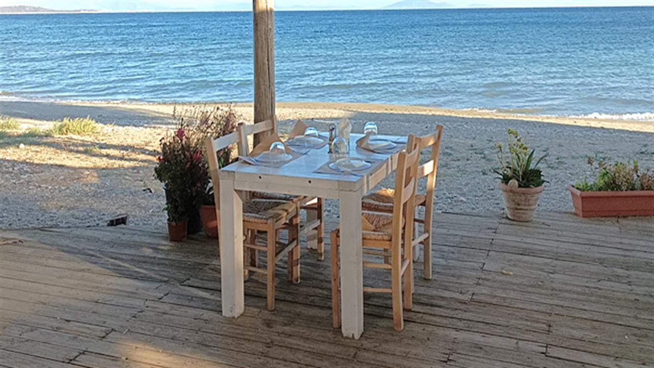 Στον Απόπλου νους και ουρανίσκος χορταίνουν θάλασσα