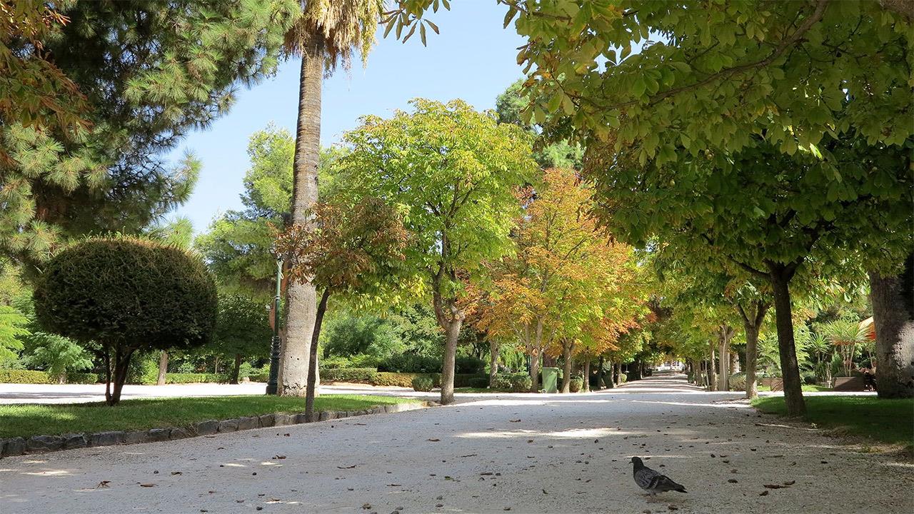 Το Άλσος της Κηφισιάς είναι η τέλεια κυριακάτικη βόλτα