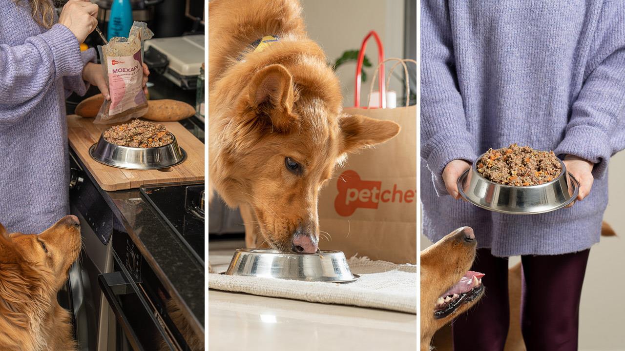 petchef - Το βραβευμένο μαγειρευτό φαγητό για τον σκύλο σου!