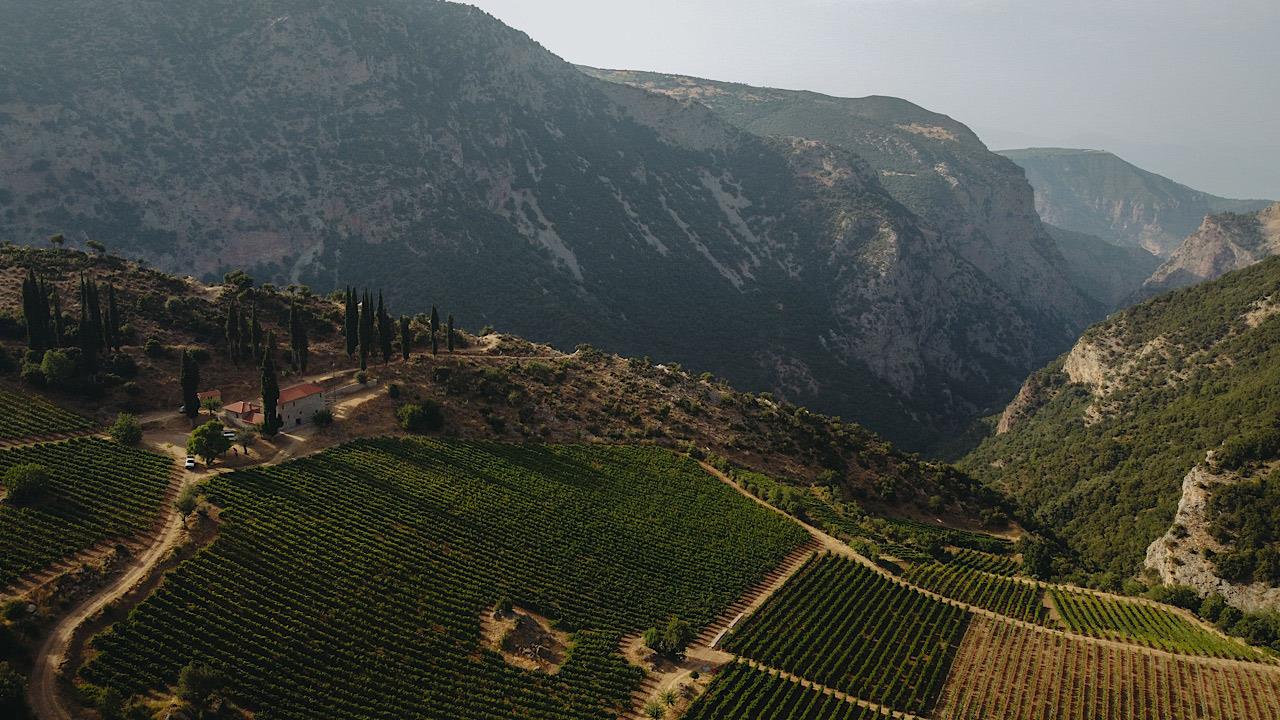 Κτήμα Μέγα Σπήλαιο, η μνήμη της Μεγάλης Αμπέλου