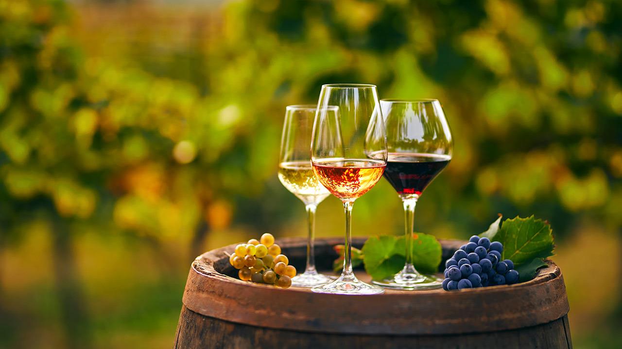 Messinia Terroirs Wine Festival: Το κρασί της Μεσσηνίας όπως δεν το έχεις ξαναγευτεί
