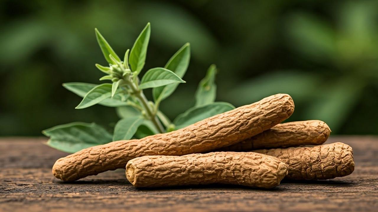Ashwagandha: Τι είναι; Οφέλη και χρήσεις του φυτού