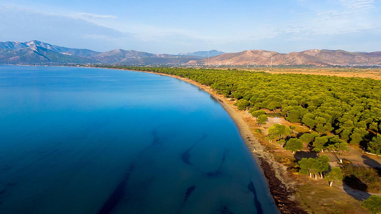 Ο Σχινιάς είναι η μεγαλύτερη (ίσως και ομορφότερη) παραλία της Αττικής
