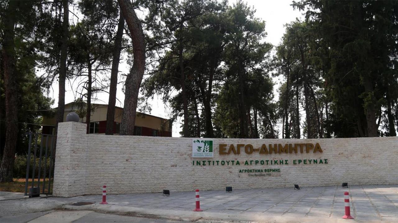 ΕΛΓΟ-Δήμητρα: Καταγγελία για αδικαιολόγητες καθυστερήσεις πληρωμών