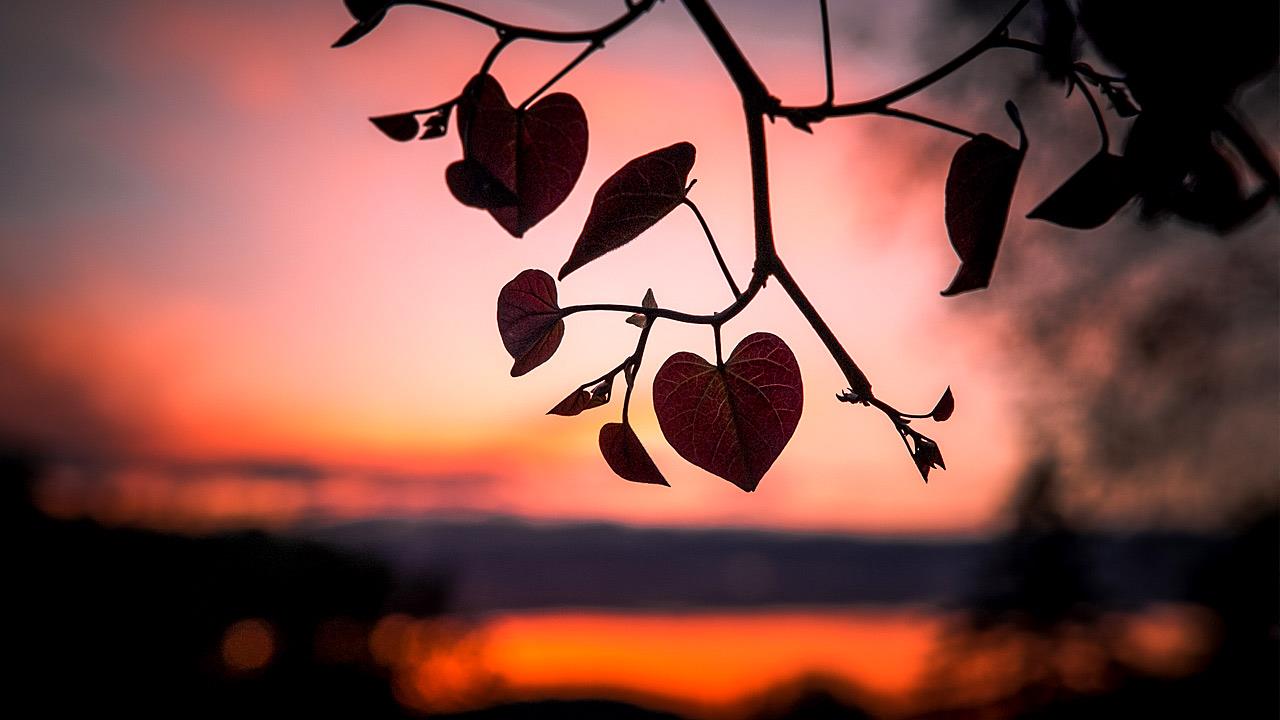 Πώς να αγαπήσεις το φθινόπωρο αν είσαι καλοκαιρινός τύπος