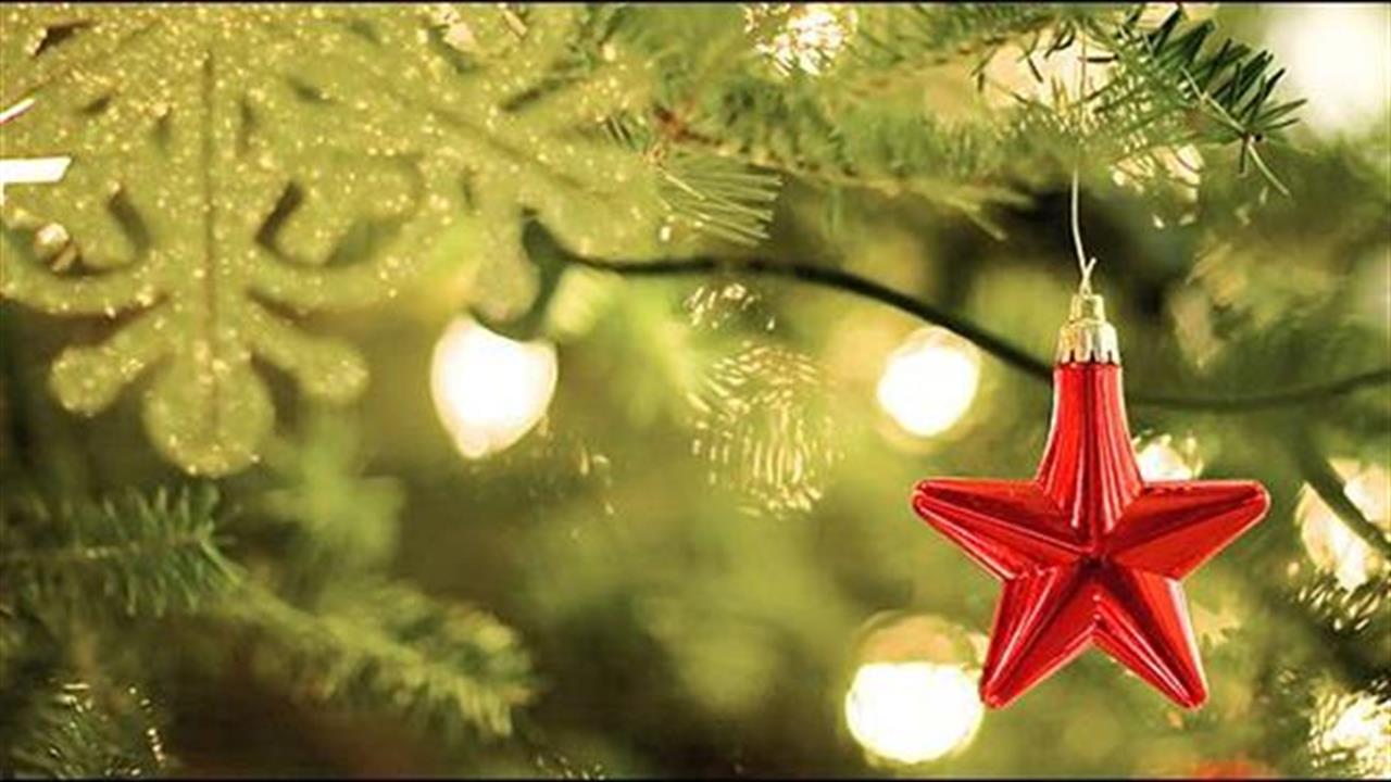 Χριστουγεννιάτικη διακόσμηση: Τα «αστέρια» της αγοράς