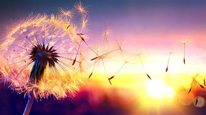 Ζώδια 2017: Όλα όσα θα μας συμβούν