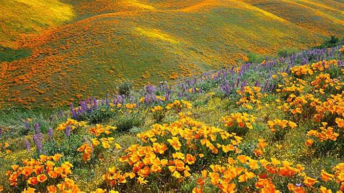 Η άνοιξη ξυπνά τη φύση με τον πιο όμορφο τρόπο