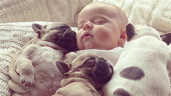 Μωράκια κοιμούνται μαζί με τα σκυλάκια τους