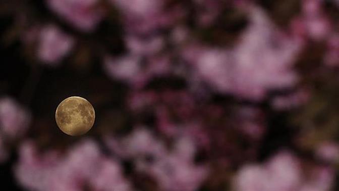Φανταστικές φωτογραφίες από τη χτεσινή Ροζ Πανσέληνο
