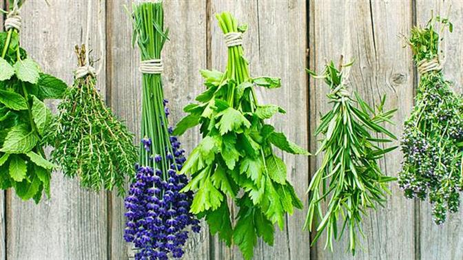 Φυσικοί τρόποι για να διώξετε τις μύγες