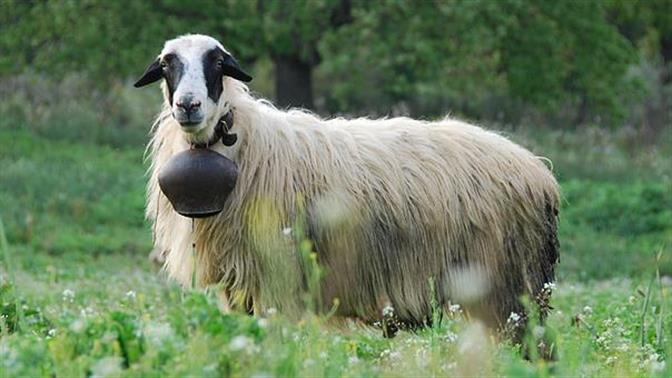 8 μεγάλες γιορτές για να κάνετε attend στο Facebook