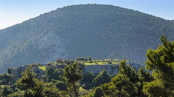 Τα δάση που βρίσκονται δίπλα μας