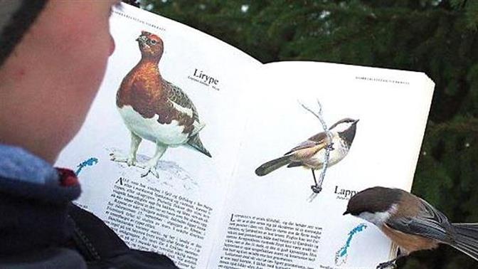 Οι πιο απίστευτες συμπτώσεις!