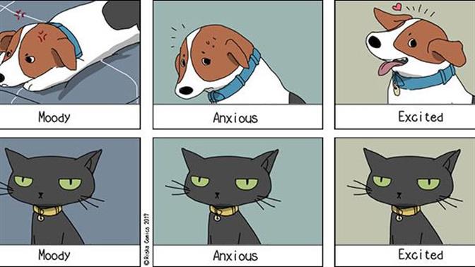 Οι ξεκαρδιστικές διαφορές σκύλου και γάτας