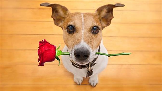 15 απλοί τρόποι να δείξεις την αγάπη σου