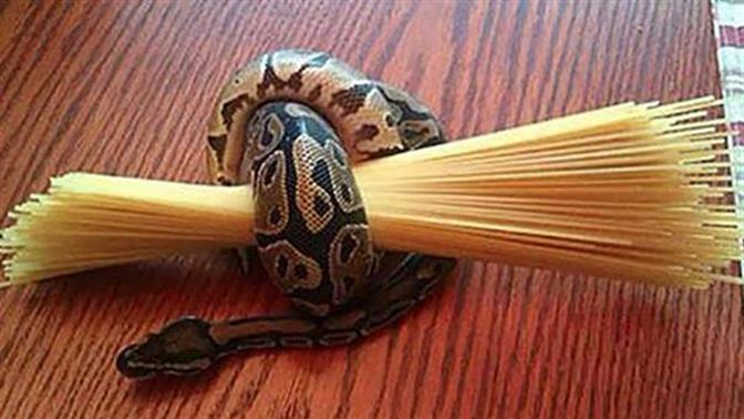 Tα πιο σουρεάλ... ξεκαρδιστικά life hacks