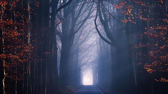 Ένα τοπίο τέσσερις εποχές