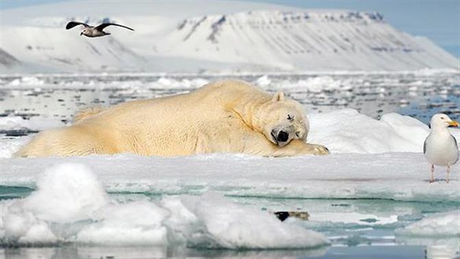 Ιδού μερικές από τις ομορφότερες φωτογραφίες του 2017