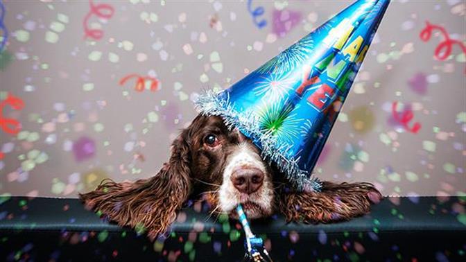 Κουίζ: Πού θα σε βρει ο νέος χρόνος;