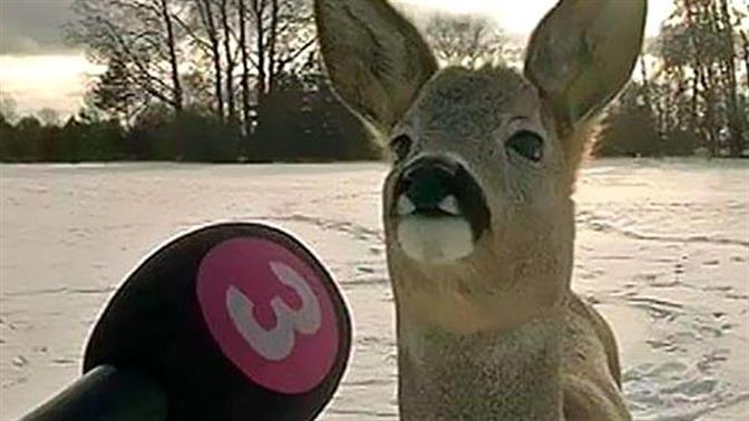 Οι πιο... wtf φωτογραφίες