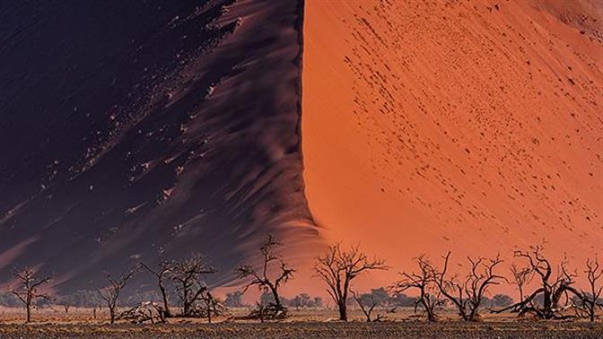 Οι πιο εντυπωσιακές βραβευμένες φωτογραφίες της φύσης